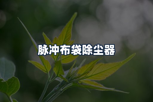 脉冲布袋除尘器
